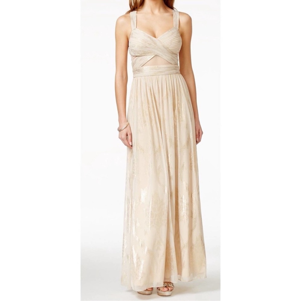 Betsy & Adam Shimmer Gown unaltered, Size 2